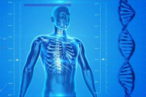 Common Bone And Joint Conditions, Symptoms and Causes, T&amp;P Orthopedics and Sports Medicine