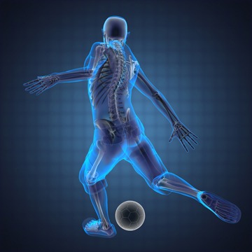 Types of Musculoskeletal Disorders, TPL Orthopedics and Sports Medicine