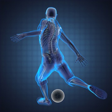 Types of Musculoskeletal Disorders, T&amp;P Orthopedics and Sports Medicine